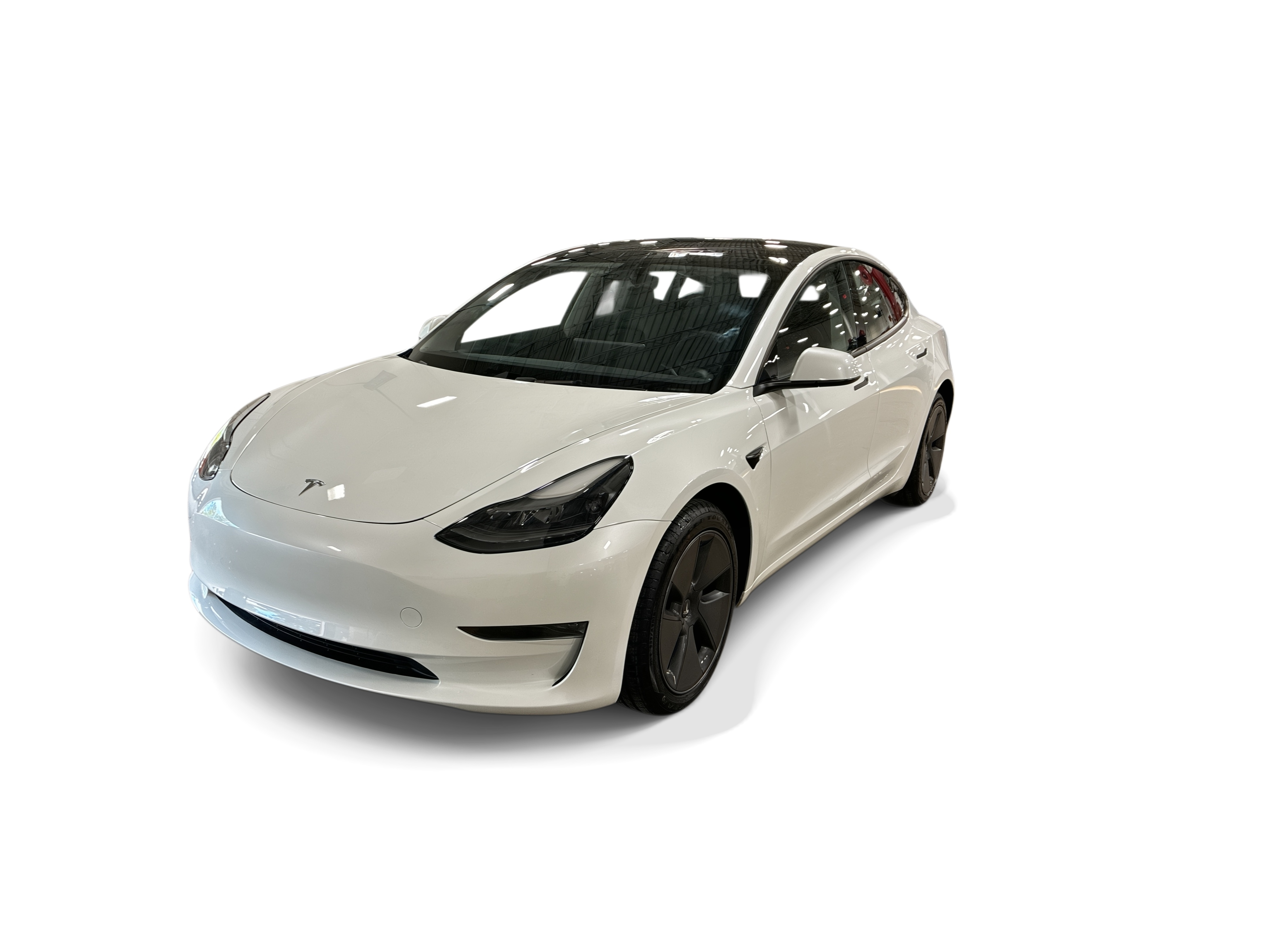 tesla model 3 2023 5YJ3E1EA1PF549594 image tesla model 3 2023 5YJ3E1EA1PF549594 image